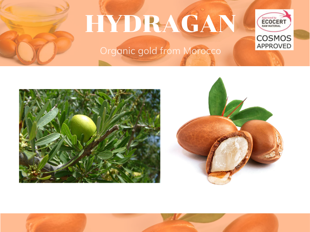 Hydragan น้ำมันจากผล Argan จากประเทศโมรอคโค อุดมด้วย Vitamin E ,กรดไขมันจำเป็นและ มี Omega 3,6,9 