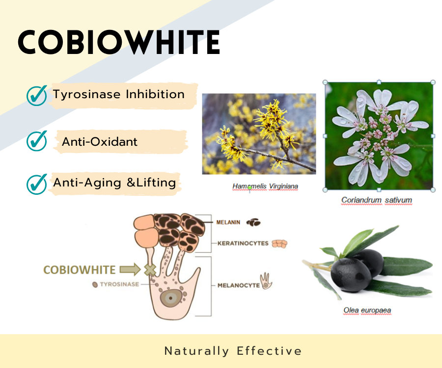 Cobiowhite สารสกัดธรรมชาติ 3 ชนิด ผิวขาวกระจ่างใสใน 14 วัน 