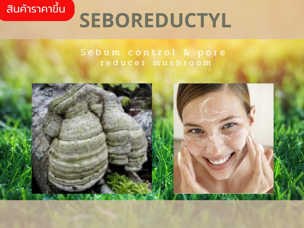 Seboreductyl  สารสกัดจากยีตส์,เห็ดFomes Officinalis และVitamin B Complex ช่วยควบคุมการหลั่งไขมัน กระชับรูขุมขน ลดการเกิดสิว