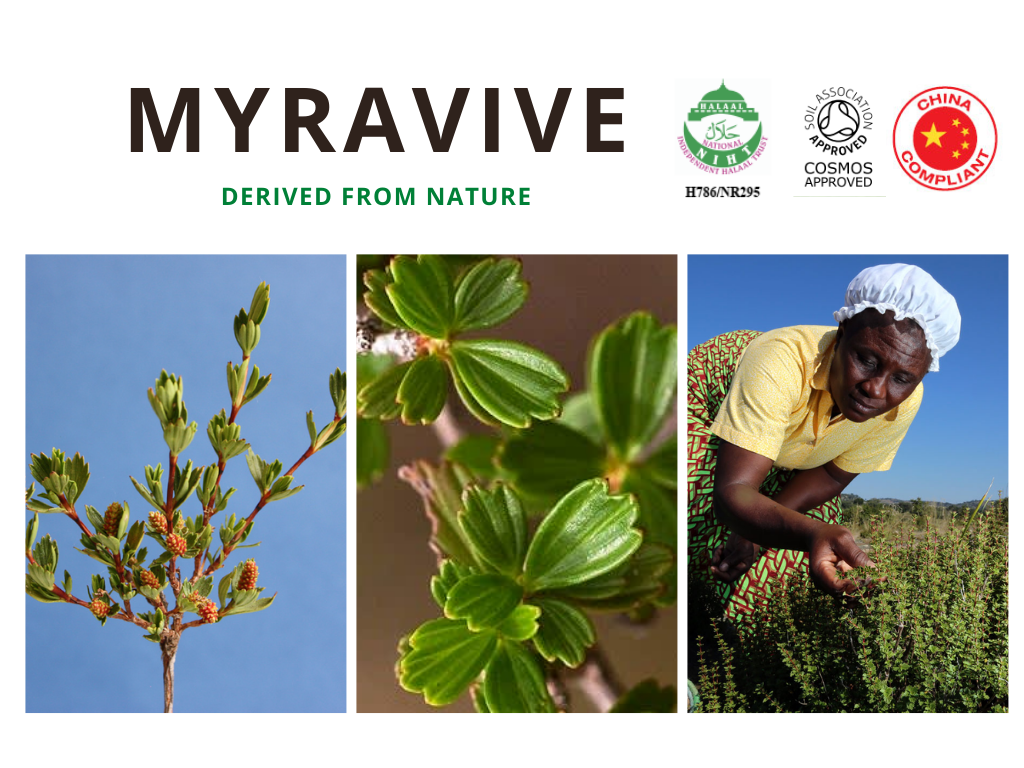 Myravive    สารสกัดจากต้น Myrothamnus Flabellifolia หรือเรียกว่า “พืชคืนชีพ” คืนสภาพผิวให้เนียนนุ่ม กระชับเต่งตึง ไร้ริ้วรอย